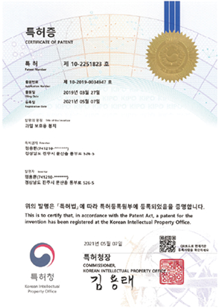 과일보호용 봉지